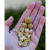 Radical Vampire Garlic Boilie 1kg