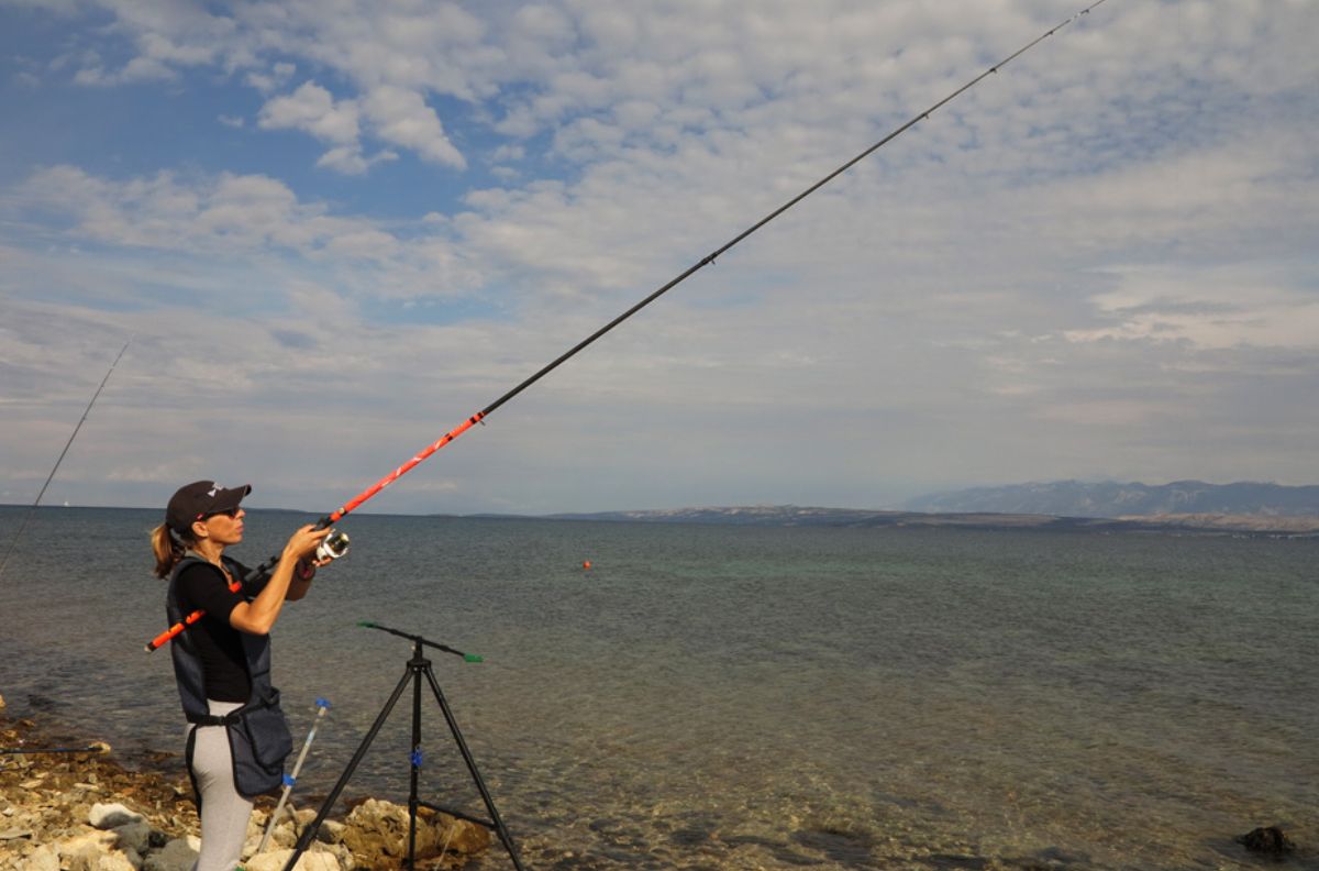 Slika za kategoriju Boat