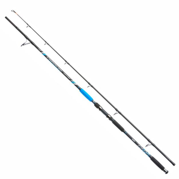 Jaxon Caracal Carfish Štapovi dvodijelni za ribolov soma 315 cm 400 g