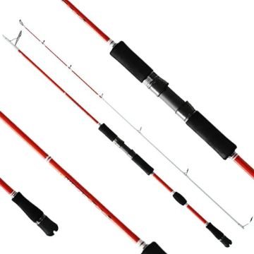 OKUMA Fireball Spin 208cm 100-300g jigging dvodijelni štap za ribolov 