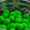 SONUBAITS Spike'um Wafter 8mm marine Green