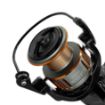 Delphin Bingo Freespool Role